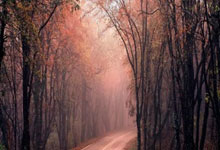 对战球队在比赛中展现出色对抗，点燃胜利之心