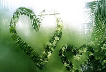 猛龙击败凯尔特人晋级东部决赛