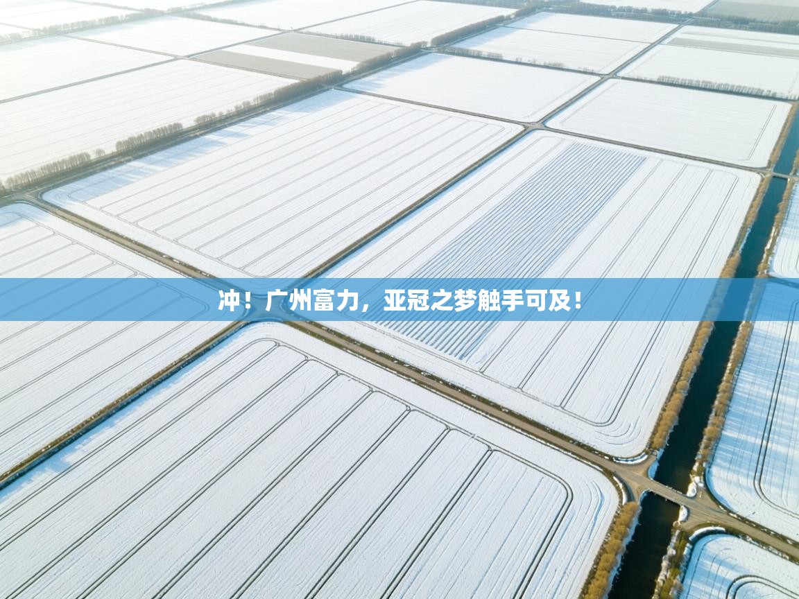 冲！广州富力，亚冠之梦触手可及！  第1张