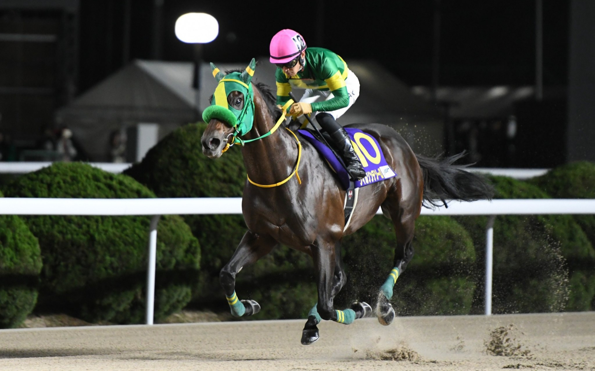 赛马比赛引发热情!日本马匹力挽狂澜夺冠!的简单介绍 赛马比赛引发热情!日本马匹力挽狂澜夺冠!的简单介绍
