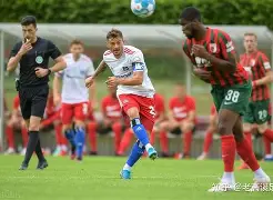 开云体育官方入口-包含德累斯顿拼尽全力，攻势如虹绝地反击成功的词条